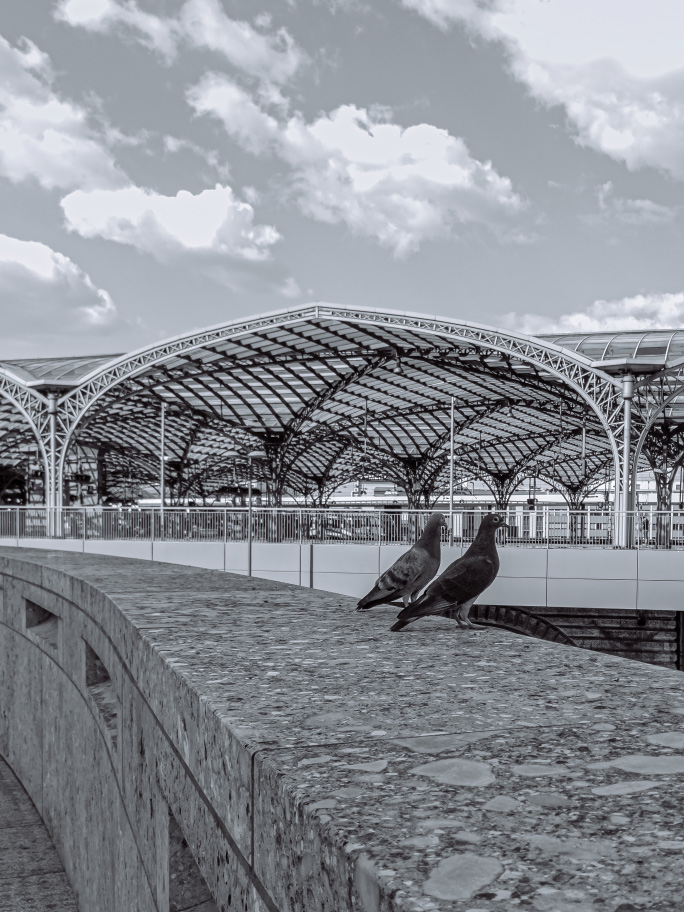 Zwei Tauben und Kölner Bahnhofshalle
